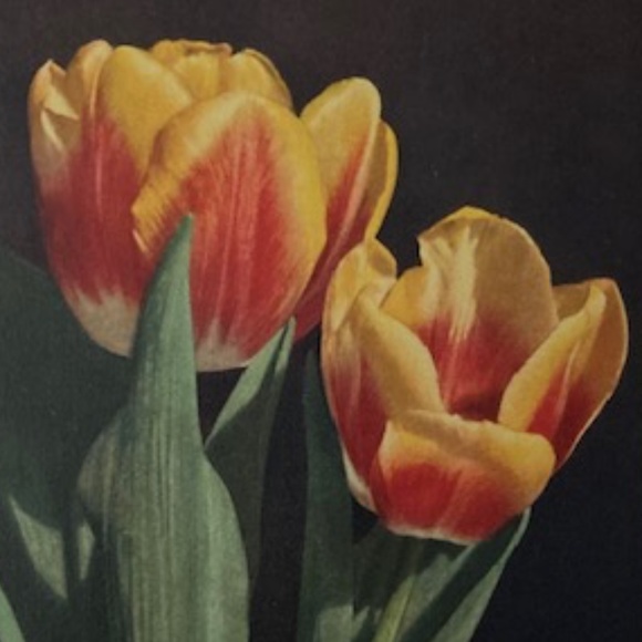 1950's Ingber Velvet Bag - Picture 4 of 4